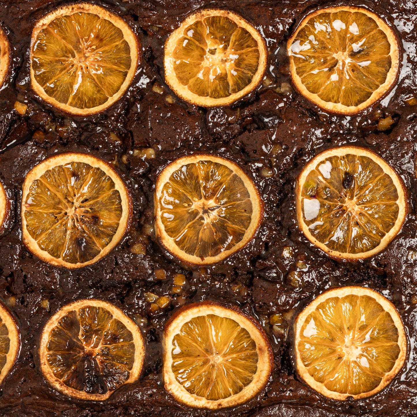 Charred Orange (V/GF)